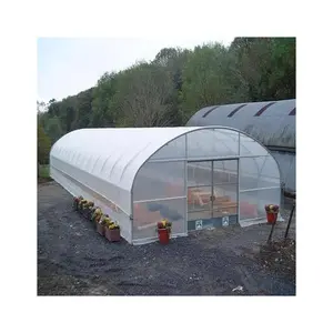 Serra agricola a Tunnel alto di grandi dimensioni per la coltivazione del pomodoro