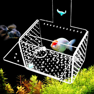Boîte d'isolement et d'élevage pour <span class=keywords><strong>aquarium</strong></span>, protège les petits poissons, <span class=keywords><strong>aquarium</strong></span> rectangulaire suspendu, grandes et petites tailles, pour éclosion de alevins de Betta Paon - Product Image 3