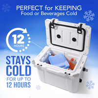 BINGFAN OEM Blocs de glace réutilisables en HDPE pour boîte à lunch, longue durée, compatibles congélateur, non toxiques, sans BPA, blocs de gel rigide pour refroidir les aliments