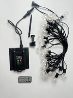 Guirnalda de Luces Solares Más Popular al por Mayor, Bombillas LED G40, Iluminación Decorativa para Exteriores, Guirnalda de Luces de Globo