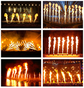 Machine Lance-Flammes à Huile Professionnelle Têtes Multi-Tirs Jet à Effet Explosion Atomique Flamme Haute de 3M pour Spectacle en Extérieur - Product Image 3