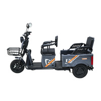 Nouveau modèle personnalisé de tricycle électrique pliable pour adultes, transport de marchandises et de passagers, vélo à 3 roues à carrosserie ouverte, offre d'exportation pour les acheteurs mondiaux