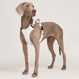 Princess-style lace <b>pet</b> <b>harness</b> and leash set (3 pieces) for small and medium-sized dogs. - Product Image 2