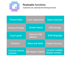 사용자 정의 로고 의료 학년 5 인치 수의 내시경 수술 이미지 디스플레이 장치 Ureteroscopy 미세 디자인 컴퓨터 모니터 - Product Image 6