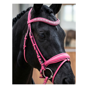 Brida Anatómica de Cuero de Diseño Ecuestre Premium con Cristales DD Leather Arena - Product Image 4