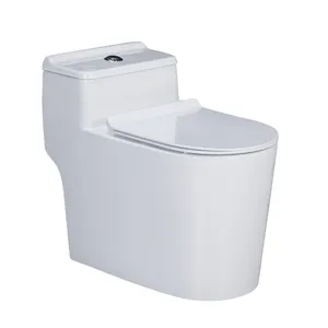 Factory Direct Supply Chinese Ceramic Sanitary Water Closet One Piece S-Trap Siphonic Toilet WC