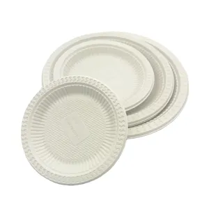 6 Inch Disposable Tableware Eco-Friendly Biodegradable Saucer Corn Starch Plate