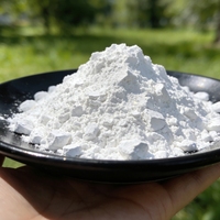 Hydroxyde de calcium de qualité industrielle, chaux hydratée, pureté 96 %, poudre blanche 325 mesh
