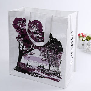 Borsa <span class=keywords><strong>shopper</strong></span> riutilizzabile in PP tessuto, grande formato, stampa a colori, resistente, <span class=keywords><strong>per</strong></span> la spesa al supermercato - Product Image 2