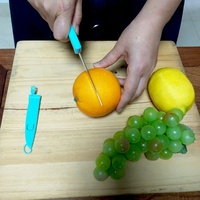 Éplucheur à légumes et fruits double julienne en acier inoxydable de qualité supérieure avec brosse de nettoyage, protège-lame et couteau