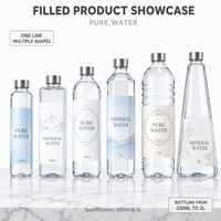 Machine de rinçage, de remplissage et de bouchage automatique intelligente CE ISO9001 pour bouteilles en PET et en verre d'eau potable minérale pure