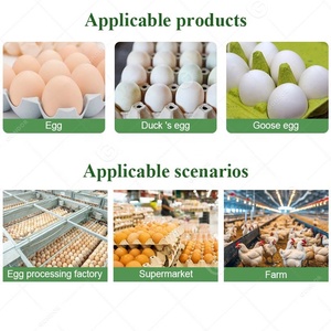 Kích Thước Gà Nhỏ Có Trọng Lượng Loại Tự Động Học Sinh Lớp Sorter Phân Loại Trứng Phân Loại Máy Của Giá Cho Bán - Product Image 6
