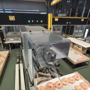 Éplucheur de pommes en acier inoxydable Trancheuse automatique Prix de la machine à éplucher les pommes Machine à éplucher les pommes automatique pour usage domestique - Product Image 1