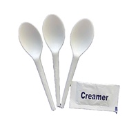Cuillère à café biodégradable en CPLA, jetable et compostable, pour desserts, écologique, simple, pour fêtes