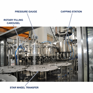 Ligne complète de mise en bouteille automatique clé en main pour boissons, 15000 BPH, pour bouteilles en plastique/canettes de 500 ml, usine de production avec pompe à engrenages à entraînement électrique - Product Image 5