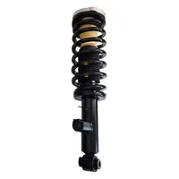 Air Suspension Strut Coil for BMW X3 F25 Rear Shock Assembly with ads