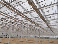 Serre agricole commerciale en verre avec système hydroponique, projet clé en main