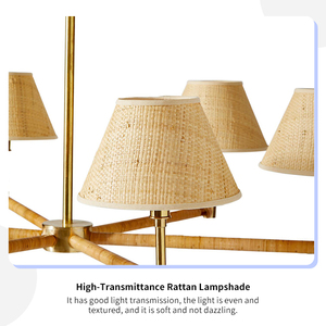 โคมไฟระย้าหวายสไตล์วินเทจ ตกแต่งห้องนั่งเล่นสไตล์ชายฝั่ง โค<span class=keywords><strong>ร</strong></span>งเหล็กทองเหลือง โคมไฟแบบสาน 6 ดวง ไฟ LED สไตล์ฝ<span class=keywords><strong>ร</strong></span>ั่งเศส โคมไฟระย้าแบบ Larkspur - Product Image 3