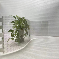 Film Adhésif LED RVB Transparent Flexible Pleine Couleur OEM P4-P20 240x1000mm 400x1000mm Extérieur SDK Inclus IP43 Couleur 16 bits