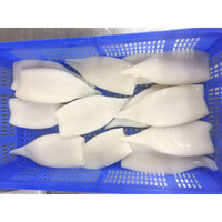 Tubes de calmar Illex surgelés frais U3 U8 IQF, sans peau, nettoyés, pour la vente en gros