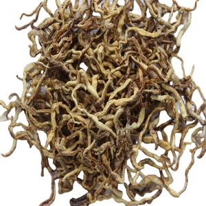 Hot Sale Fein verarbeitete gefrier getrocknete 4-6cm rote Pellet Fischfutter Regenwürmer für die Gesundheit von Haut und Mantel - Product Image 1