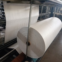Rouleau de tissu de sac de sac jumbo de tissu tubulaire tissé par pp de polypropylène