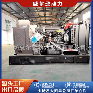 Groupe électrogène diesel Weichai 100 kW 400/230 V 50 Hz pour alimentation de secours sur chantier - Product Image 2