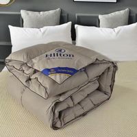Couette d'hôtel Hilton en polyester, sélection multi-kilogrammes, été/hiver, pour lit