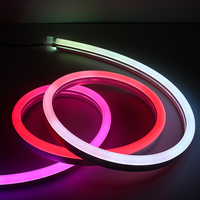 Bande lumineuse LED néon intelligente étanche 12x25MM, vue latérale, bande néon flexible adressable 12*25mm, tube néon LED