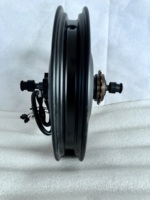 Kit de conversion de moteur de moyeu pour vélo électrique et moto électrique, moteur CC sans balais à rayons, étanche, personnalisable, 48V 60V