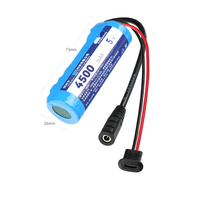 Pack de batteries lithium-ion rechargeables 21700-2P 3,7V 9000mAh 5V 9Ah avec BMS et prise USB Type-C