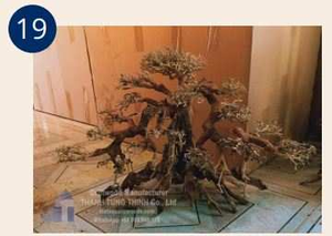 Hot Design Bonsai Driftwood for <b>Reptile</b> Center, Fish <b>Tank</b> Aquarium Turtle <b>Tank</b> Decor - Product Image 6