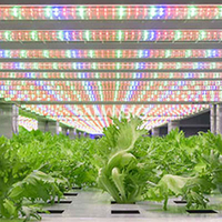 Lampu tumbuh Led untuk budidaya 30W 50W 100W 320W 480W tabung sam77row | UFO | Lampu tumbuh Linear Led untuk budidaya bunga sayuran