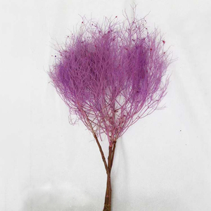 2023 Soft Dream Yunnan gros plante de fleurs séchées stabilisé préservé éternel suspendu préservé herbe de rêve préservée pour la décoration de mariage - Product Image 6