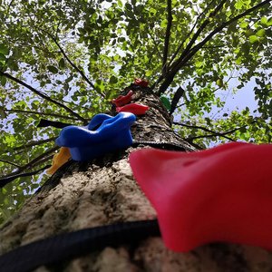 Parcours d'obstacles professionnel Ninja Warrior pour grimpeurs, prises d'escalade pour arbres et rochers, murs d'escalade pour enfants, pierres d'escalade - Product Image 6