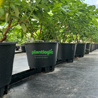 Pot Bunga Taman Bulat Plastik PP Tahan Lama dengan Lubang Drainase untuk Dekorasi Rumah Luar Ruangan Dalam Ruangan Penanaman Bibit