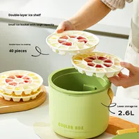 Seau à glaçons isolé en plastique de qualité alimentaire pour l'extérieur, avec congélation rapide et libération facile, capacité de 4 L pour le stockage à froid en extérieur