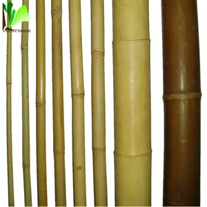 Natural Raw Bamboo Poles Lowes Supplier