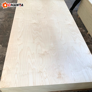 <span class=keywords><strong>Tablero</strong></span> de <span class=keywords><strong>Contrachapado</strong></span> de Abedul Blanco 100% Recubierto con Resina Fenólica de 12 mm y 18 mm - Product Image 3