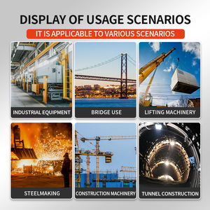 Télécommande sans fil électrique de grue industrielle de <span class=keywords><strong>Radio</strong></span> de F23-A ++ pour la coupe de scie de corde de Machine de <span class=keywords><strong>soudure</strong></span> de palan - Product Image 4