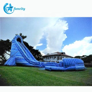 Bơm hơi khổng lồ trượt nước <span class=keywords><strong>Inflatable</strong></span> bouncy nhà trượt ngoài trời công viên nước <span class=keywords><strong>Inflatable</strong></span> trượt nước với hồ bơi cho người lớn - Product Image 2