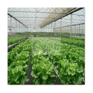New Design Automatic Smart Pvc Channel Vertical Garden 72 Holes Vertical Hydroponic Nft Growing System