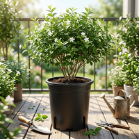 Pots de pépinière durables et légers en PP biodégradable de 15 gallons avec trou de drainage pour une utilisation à la maison, dans le jardin, en extérieur ou sur le sol