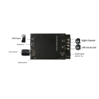 Amplificateur audio stéréo sans fil 5.0 avec radio 100W*2, carte amplificateur de puissance numérique avec radio TPA3116D2