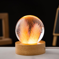 Lampe de nuit LED pissenlit boule de verre transparente Base en bois alimentation CC lampe de nuit boule de cristal florale pour Noël