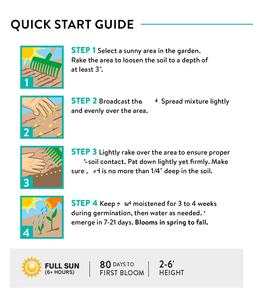 Mélange de graines de fleurs sauvages en vrac, non-OGM, paquet de 15 variétés, fleurs sauvages vivaces pour pots de fleurs et jardinières - Product Image 5