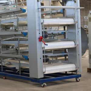 Sistema automático de raspado de estiércol de pollo para jaulas de aves de corral Equipo eficiente de tratamiento de estiércol de pollo para ganado - Product Image 6