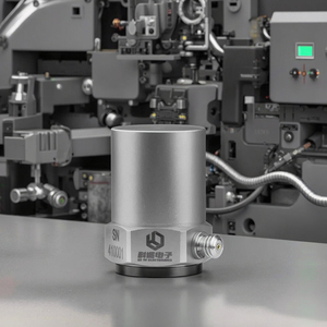 Iepe Eenassige Piëzo-Elektrische Versnellingsmetersensor Voor Trillings-En Schokmeting Motorversnellingsbak Trillingsbewaking - Product Image 5