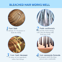 Poudre décolorante pour cheveux sans ammoniaque Salon OEM, décoloration rapide, utilisation facile, faible irritation, poudre décolorante pour éclaircir les cheveux, pour la coloration des cheveux