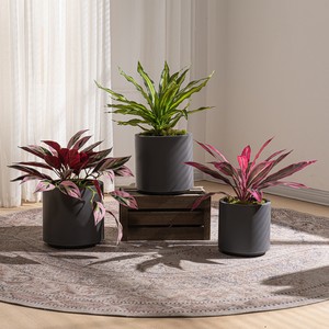 Macetas de Resina al por Mayor, Macetas de <span class=keywords><strong>Interior</strong></span> con Plantas Artificiales, Decoración Comercial para Proyectos de Hoteles y Oficinas - Product Image 4